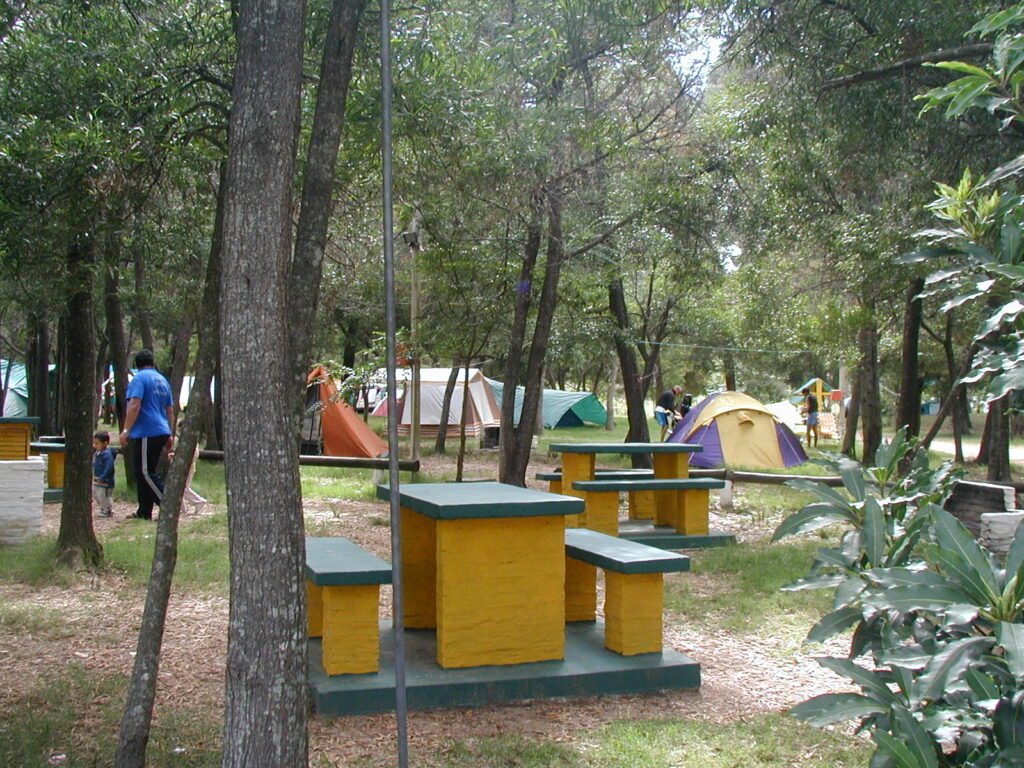 Zona de camping arbolada con agua, luz, mesas y parrilleros